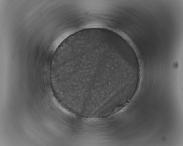 X0000112431337200909041427