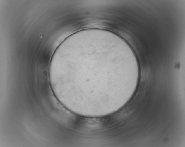 X0000112431338200909041427