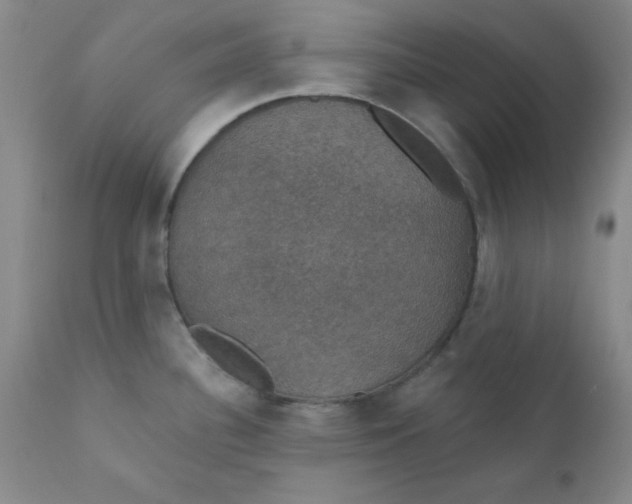 X0000112431340200909041427