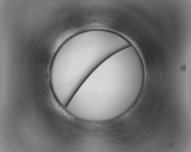 X0000112431341200909041427