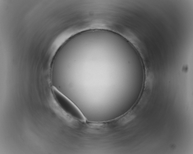 X0000112431342200909041427