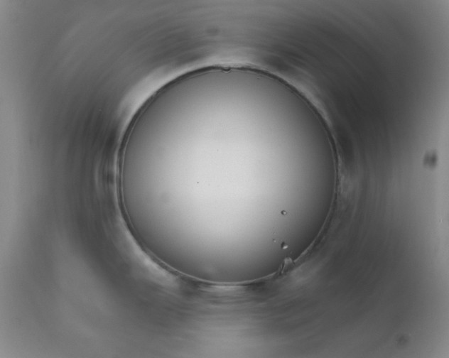 X0000112431343200909041427