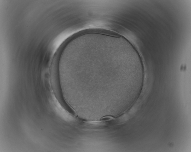 X0000112431344200909041427