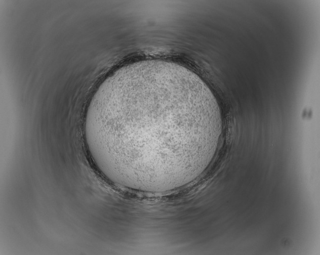 X0000112431345200909041426