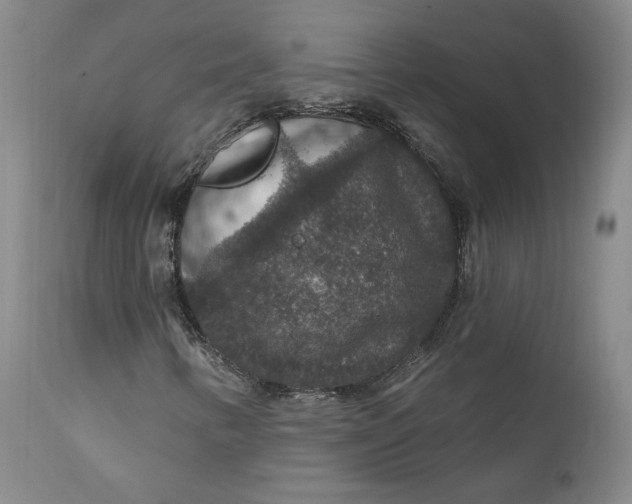 X0000112431346200909041426