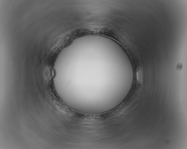 X0000112431347200909041426