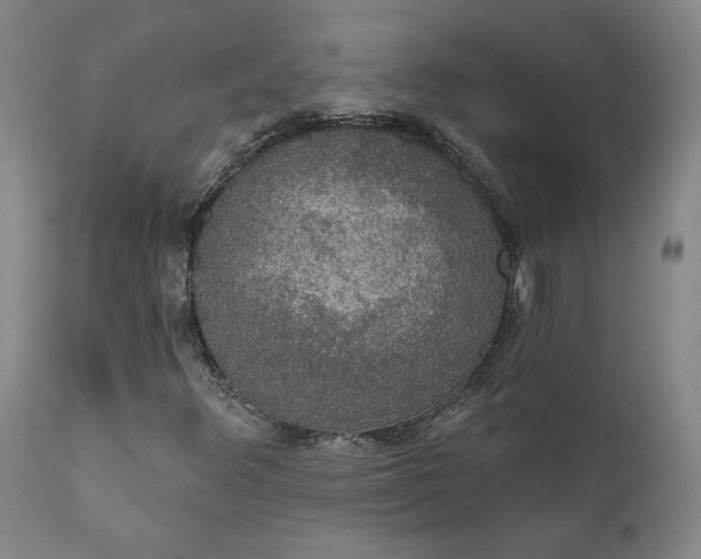 X0000112431348200909041426