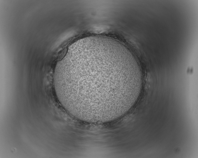 X0000112431349200909041426