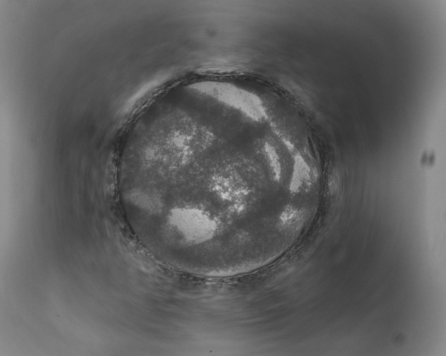 X0000112431350200909041426