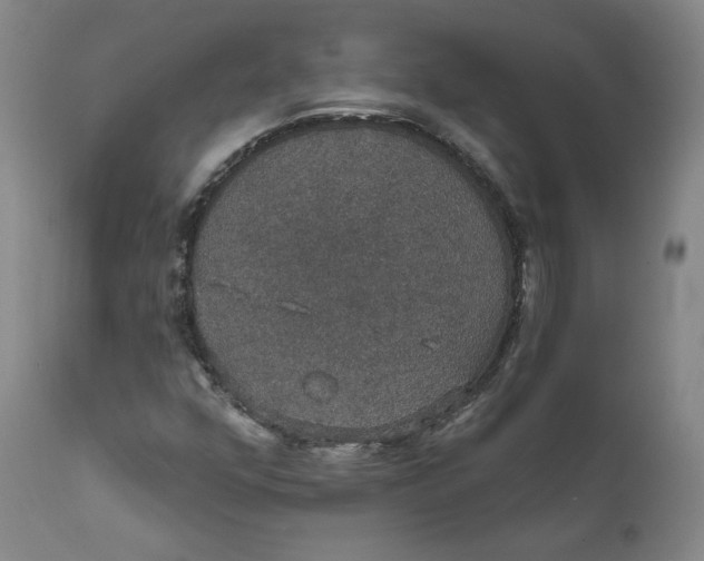 X0000112431352200909041426