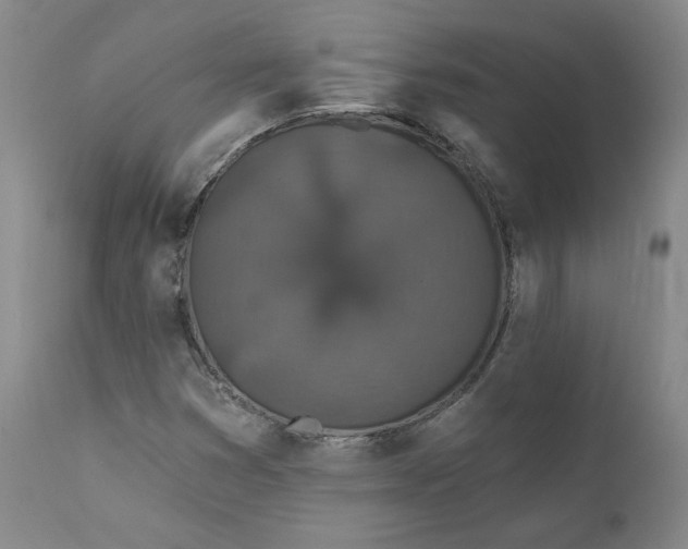 X0000112431353200909041426