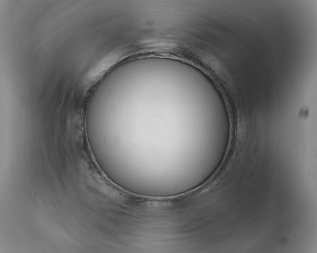 X0000112431354200909041426