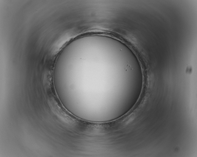 X0000112431355200909041426