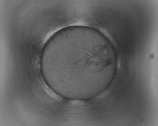 X0000112431356200909041426