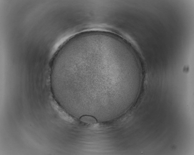 X0000112431360200909041426