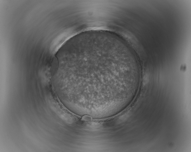 X0000112431361200909041426