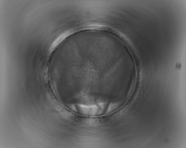 X0000112431362200909041426