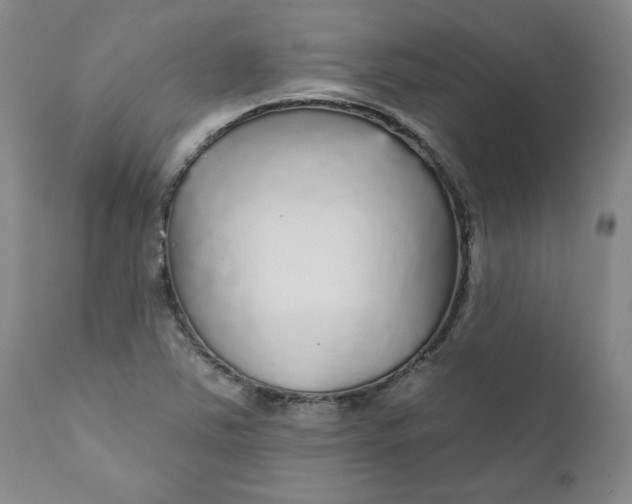 X0000112431363200909041426