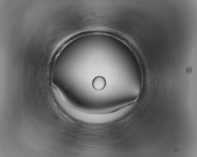 X0000112431364200909041426