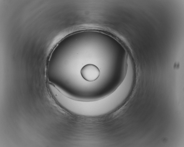 X0000112431365200909041426