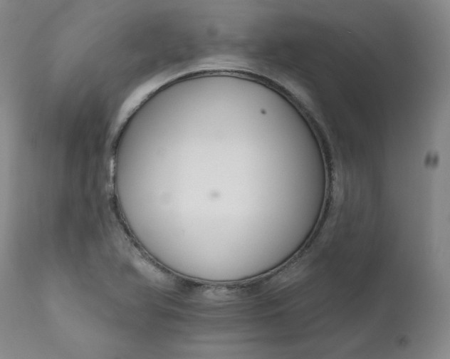 X0000112431366200909041426