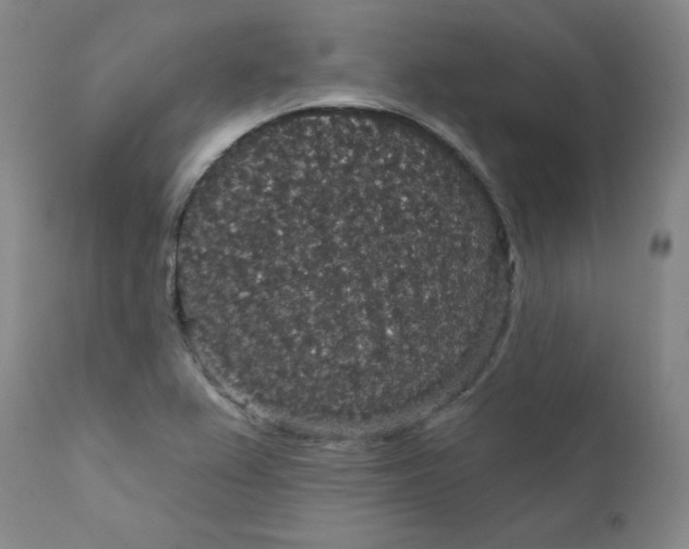 X0000112431367200909041426