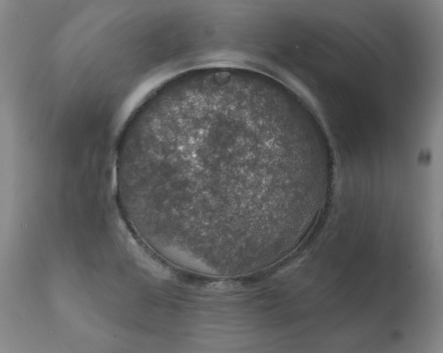 X0000112431368200909041426