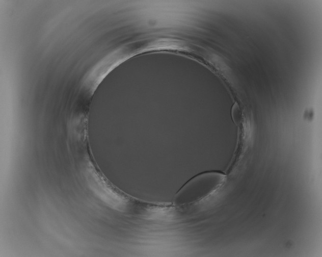 X0000112431369200909041426