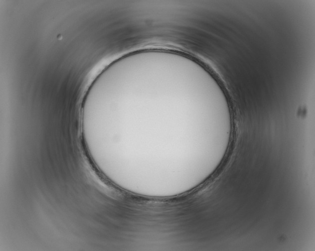 X0000112431371200909041426