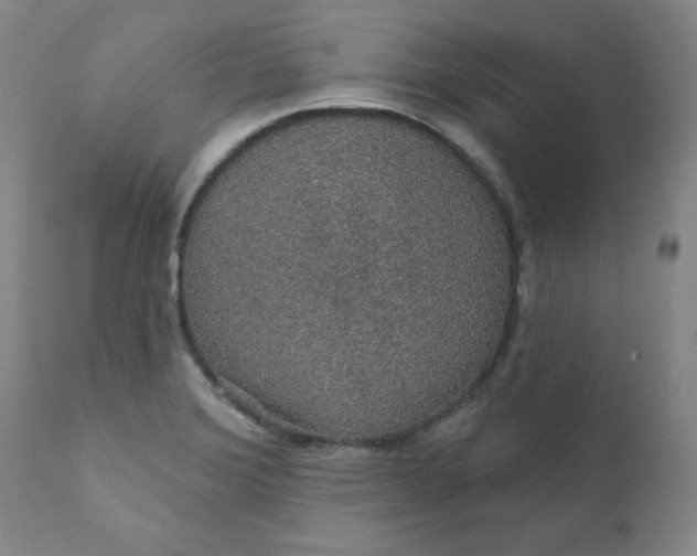 X0000112431372200909041426