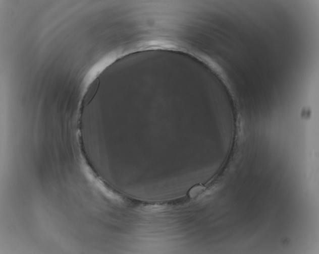 X0000112431373200909041426