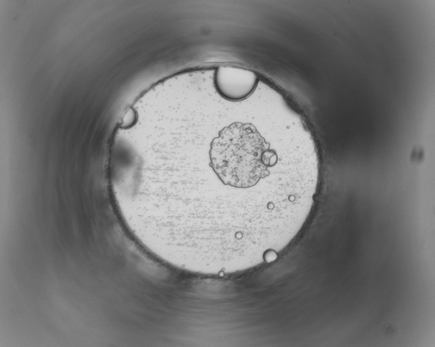 X0000112431374200909041426