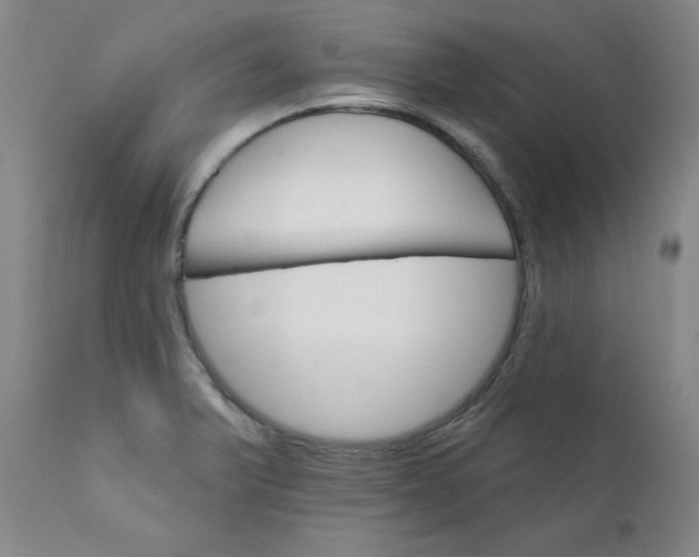 X0000112431375200909041426