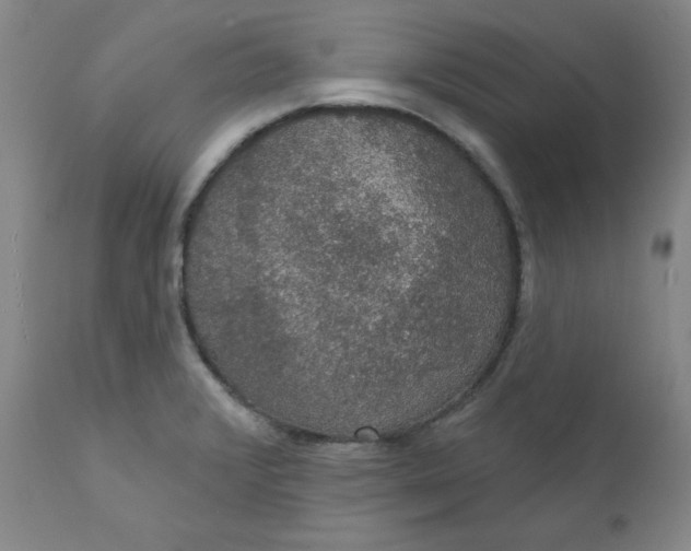 X0000112431376200909041426