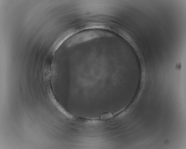 X0000112431377200909041426