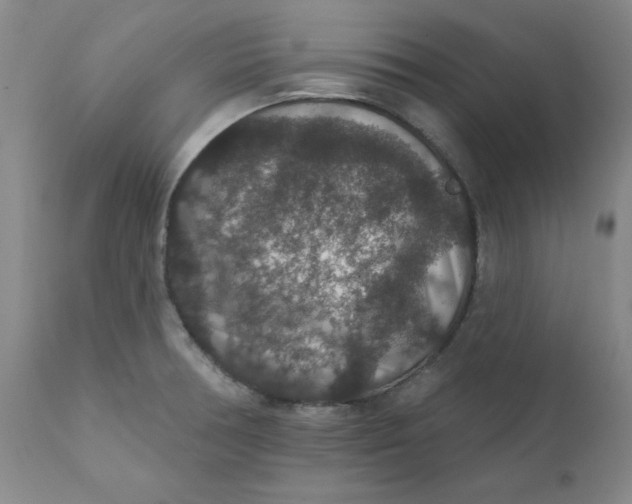 X0000112431378200909041426