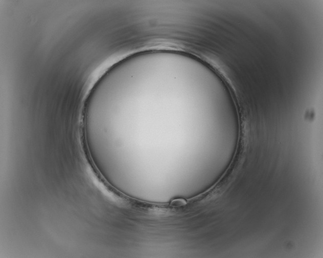 X0000112431379200909041426