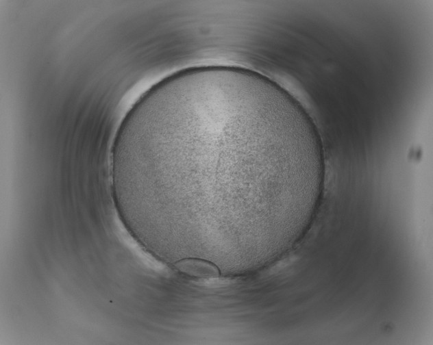 X0000112431380200909041426