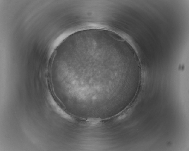 X0000112431381200909041426