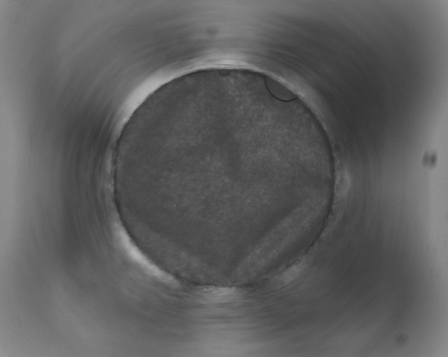 X0000112431382200909041426