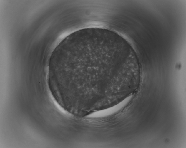 X0000112431383200909041426