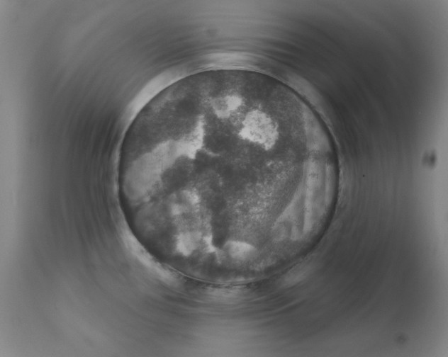 X0000112431386200909041426