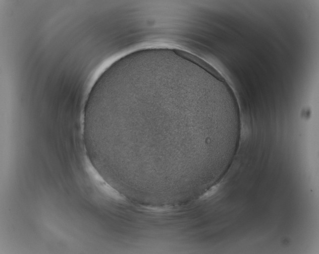 X0000112431388200909041426