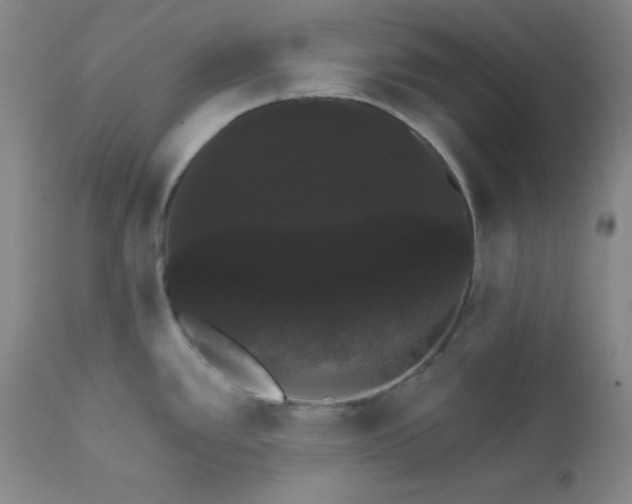 X0000112431389200909041426