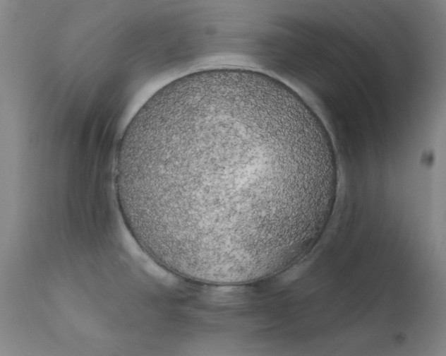 X0000112431390200909041426