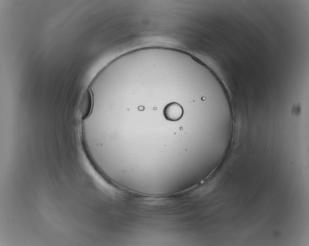 X0000112431391200909041426