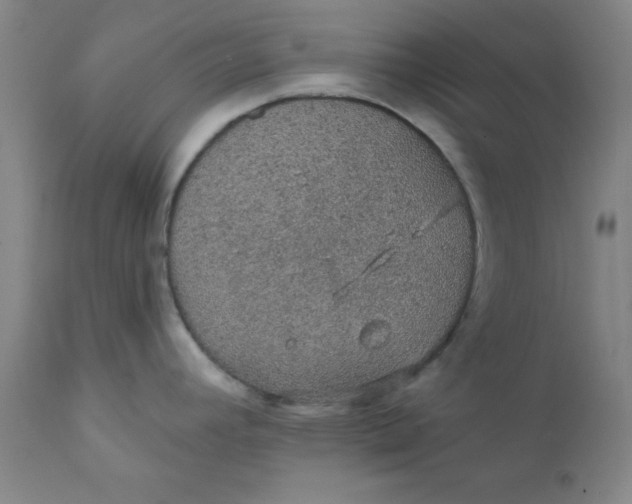 X0000112431392200909041426