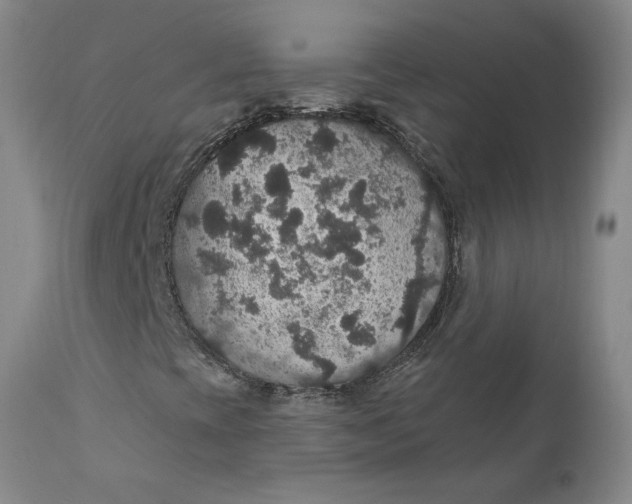 X0000112431393200909041425