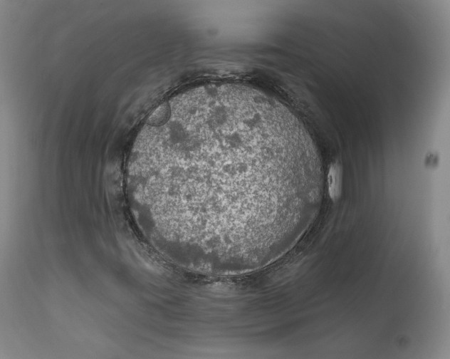 X0000112431395200909041425