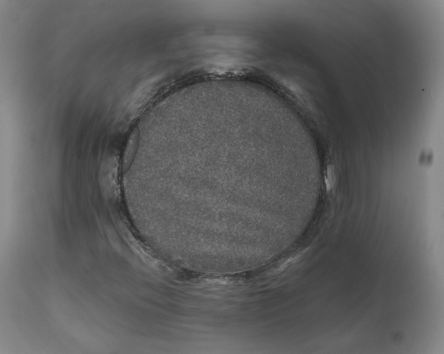 X0000112431396200909041425